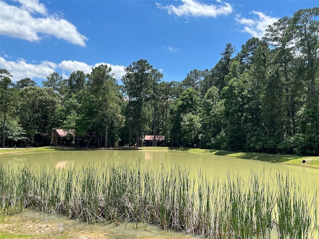 00 Sky Oak Ln, Huntsville, TX 77340 - photo 9