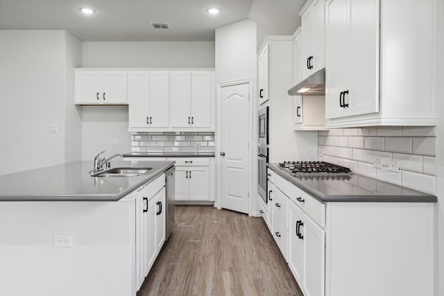 19218 Charisma Rose Ln, Tomball, TX 77377 - kitchen with a sink, stainless steel appliances, under cabinet range hood, white cabinetry, and wood finished floors