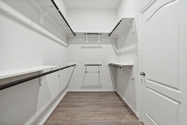 19218 Charisma Rose Ln, Tomball, TX 77377 - spacious closet featuring light wood finished floors