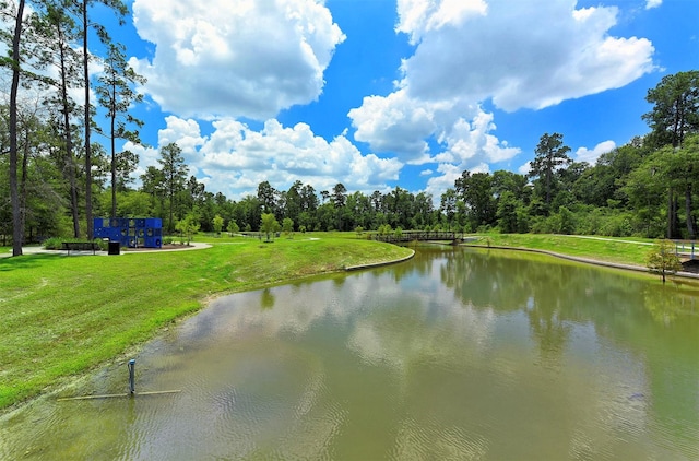 8442 Horsepen Bend Dr, Conroe, TX 77385 - water view