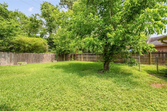 1003 Romaine Ln, Houston, TX 77090 - view of yard