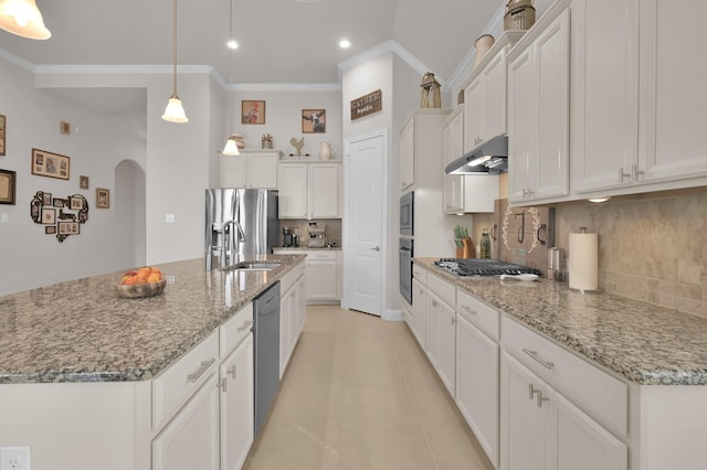 9103 Lacombe Ln, Tomball, TX 77375 - kitchen featuring under cabinet range hood, stainless steel appliances, arched walkways, ornamental molding, and decorative backsplash