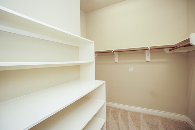 14110 Green Thicket Dr, Pearland, TX 77584 - spacious closet featuring carpet floors