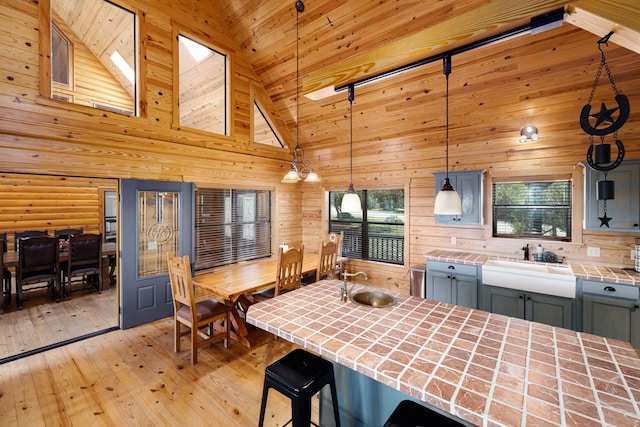 1012 Mourning Dove, Canyon Lake, TX 78133 - dining area with healthy amount of natural light, light wood-style flooring, and high vaulted ceiling