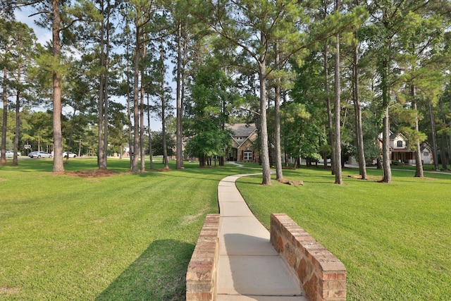 29122 Champions Dr, Magnolia, TX 77355 - view of property's community with a yard