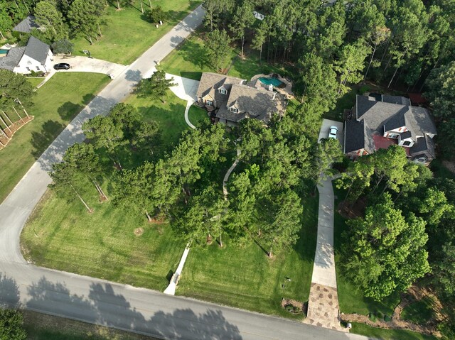 29122 Champions Dr, Magnolia, TX 77355 - aerial overview of property's location