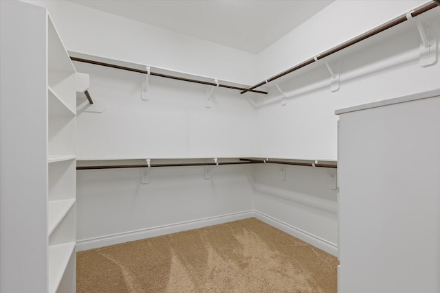 16815 Bornish Hill Ct, Humble, TX 77346 - spacious closet featuring light carpet