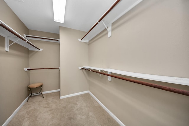 20902 Montana Bend Ln, Cypress, TX 77433 - walk in closet with carpet flooring
