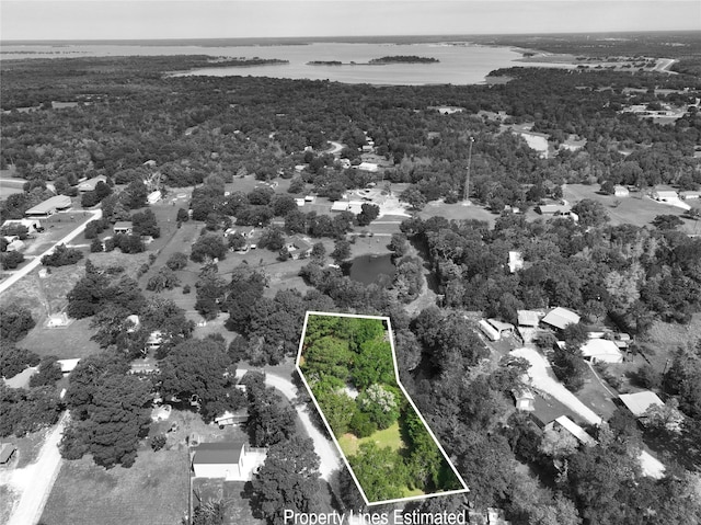 11200 Leisure Rd, Brenham, TX 77833 - bird's eye view of a nearby body of water and a forest