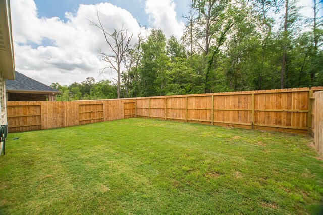 17542 Rosette Grass Dr, Conroe, TX 77385 - view of yard