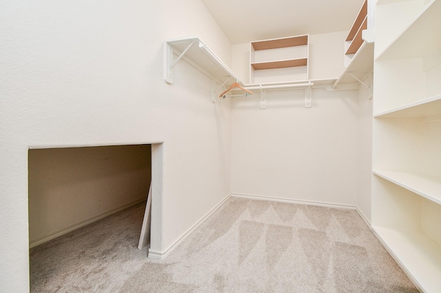21126 N Yellow Bud Ct, Cypress, TX 77433 - walk in closet featuring carpet flooring