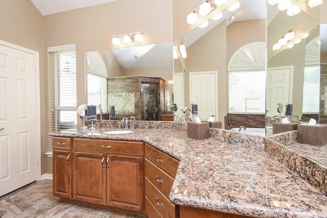 17619 Rustling Aspen Ln, Houston, TX 77095 - full bath with a shower stall, vanity, healthy amount of natural light, and vaulted ceiling