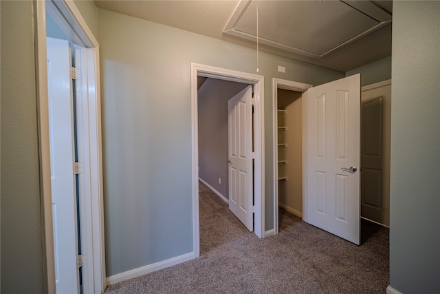 3619 Palomino Trl, Manvel, TX 77578 - photo 42