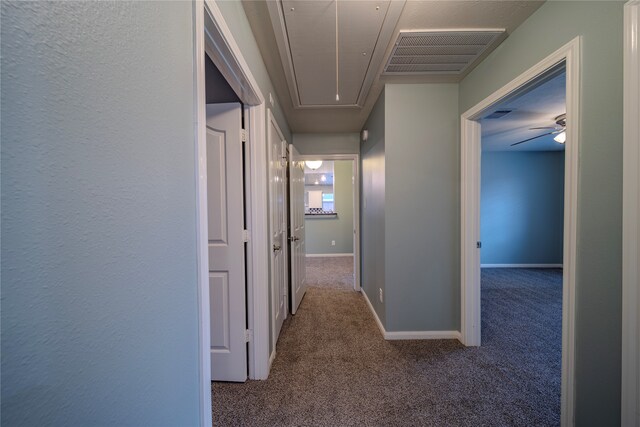 3619 Palomino Trl, Manvel, TX 77578 - photo 44