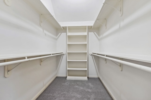 9515 Willow Crossing Dr, Houston, TX 77064 - spacious closet with carpet