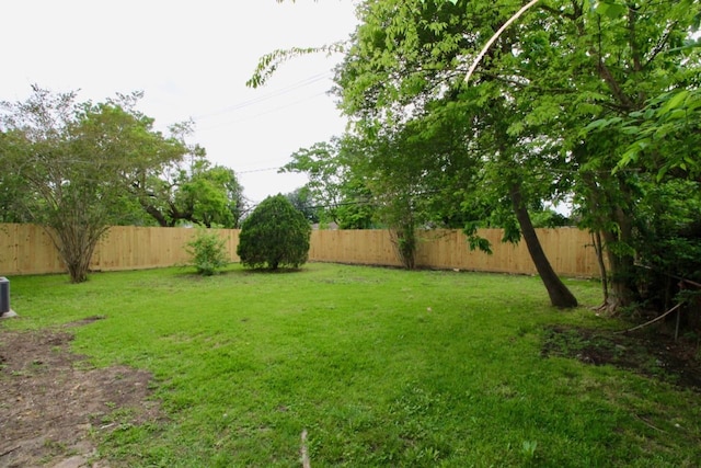 1215 Maplewood Ln, Pasadena, TX 77502 - view of yard