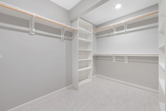 15735 Mesa Gardens Dr, Houston, TX 77095 - view of walk in closet