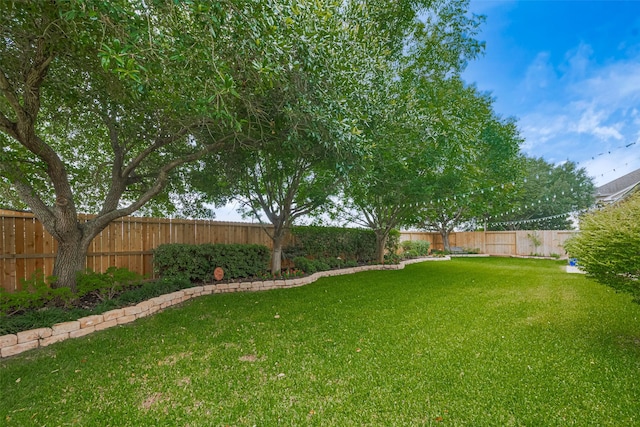 1623 Whitfield St, Sugar Land, TX 77479 - view of yard