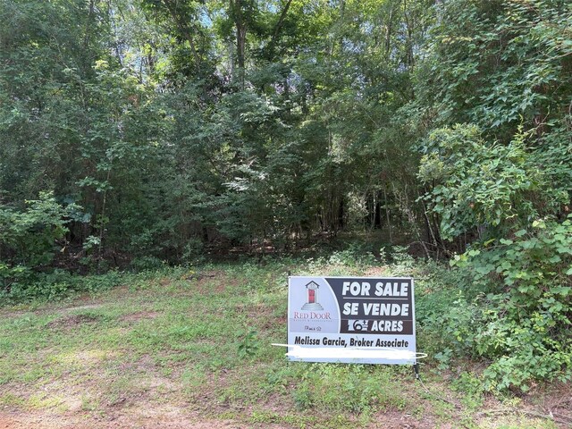 TBD Andrew Jackson Drive, Livingston, TX 77351 - photo 1