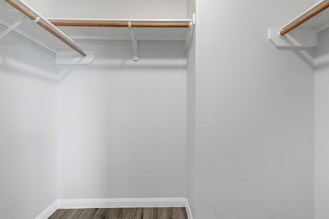 6902 White Ash Ln, Baytown, TX 77521 - walk in closet with dark wood-style floors