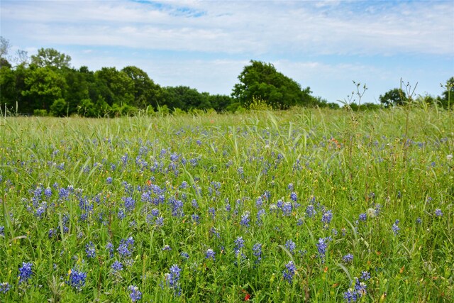 5530 Old Chappell Hill Rd, Brenham, TX 77833
