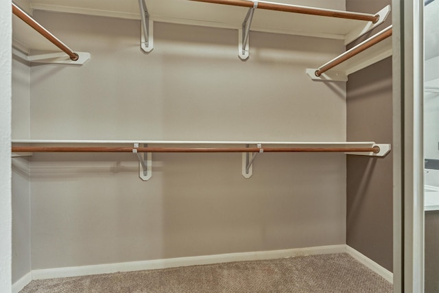 94 S Magnolia Pond Pl, The Woodlands, TX 77381 - spacious closet featuring carpet