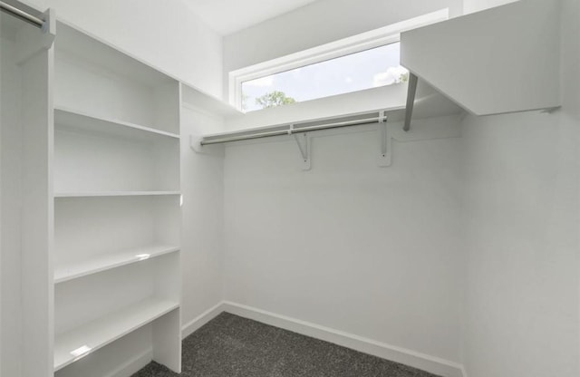 6732 Goforth, Houston, TX 77021 - spacious closet featuring dark carpet
