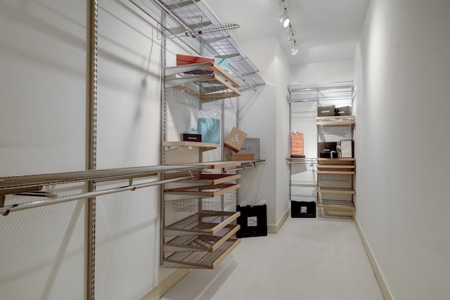 2520 Robinhood St Unit 1012, Houston, TX 77005 - walk in closet featuring carpet