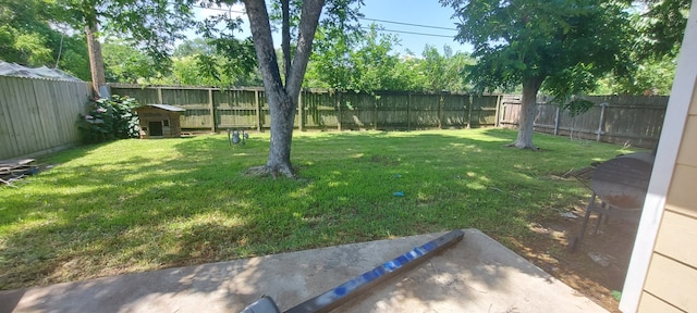 234 Maxie St, Deer Park, TX 77536 - view of yard