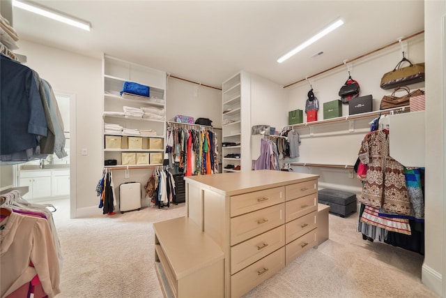 2314 Red Fox Dr, Missouri City, TX 77459 - spacious closet featuring light carpet