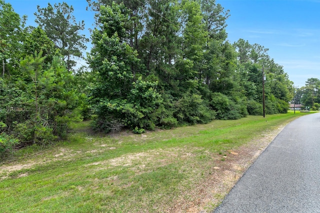 18024 Cindy Ln, Conroe, TX 77302 - view of asphalt street featuring street lights