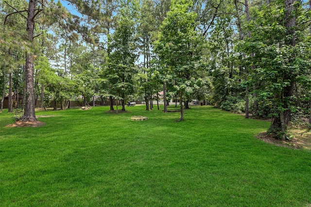 18024 Cindy Ln, Conroe, TX 77302 - view of green lawn