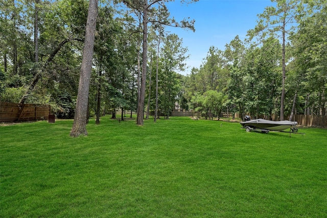 18024 Cindy Ln, Conroe, TX 77302 - view of yard