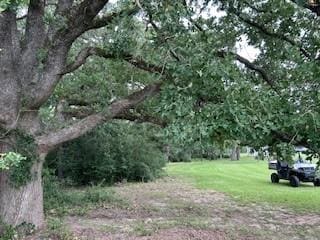 8682 Hidden Pl, North Zulch, TX 77872