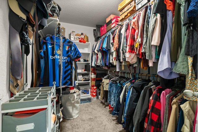 15111 Raffia Leaves Way, Houston, TX 77090 - walk in closet featuring carpet floors