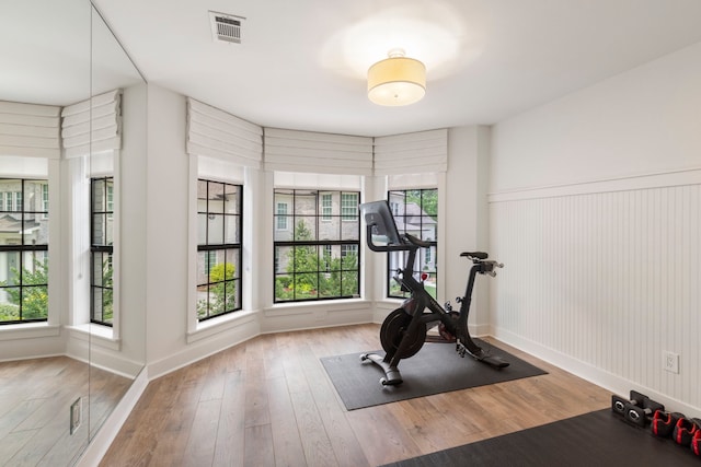 31 Wood Cove Dr, The Woodlands, TX 77381 - workout room featuring wood finished floors, a wainscoted wall, and baseboards
