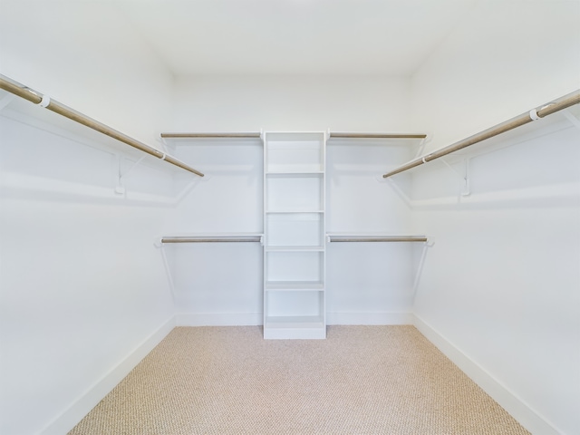 3004 Jensen Springs Ln, Houston, TX 77026 - walk in closet with light carpet
