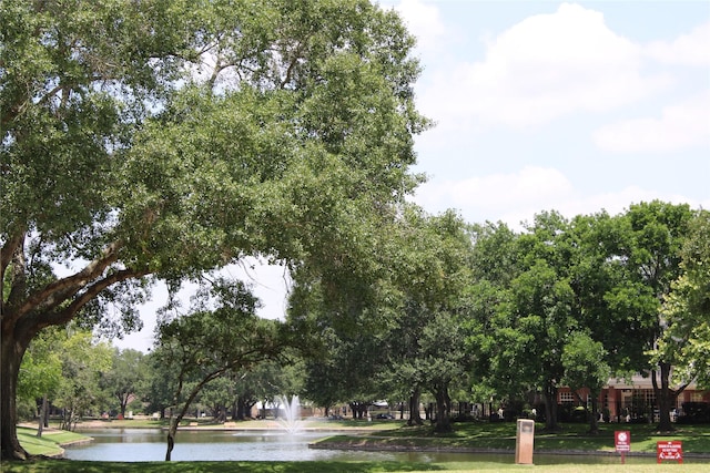 3231 Brinton Trails Ln, Katy, TX 77494 - view of property's community featuring a water view and a yard