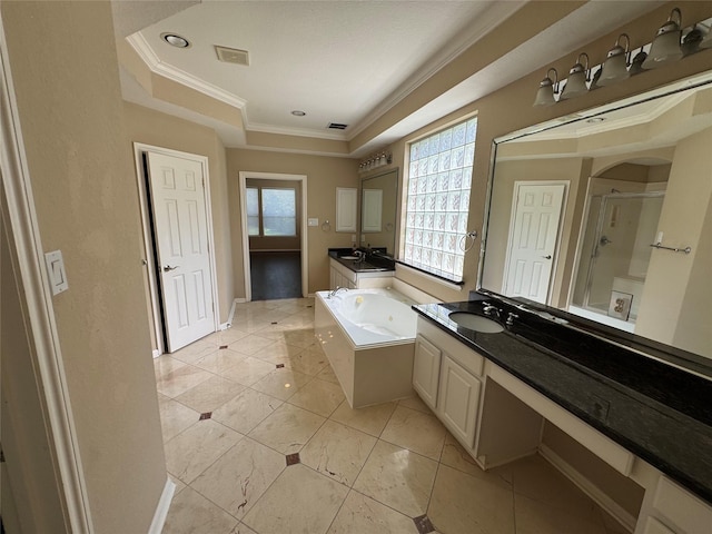 11703 Sterling Brook St, Pearland, TX 77584 - bathroom featuring a stall shower, a garden tub, crown molding, vanity, and a tray ceiling