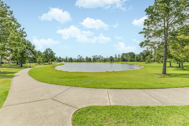 16802 Cherokee Lake Ln, Houston, TX 77044 - view of community with a water view and a lawn