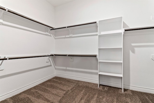 4926 Thunder Creek Ln, Sugar Land, TX 77479 - walk in closet featuring carpet flooring