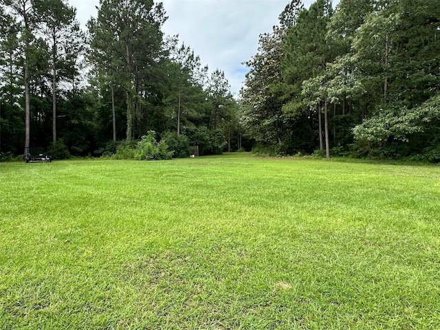 4815 Fm 2827th Rd, Warren, TX 77664 - view of grassy yard with a wooded view