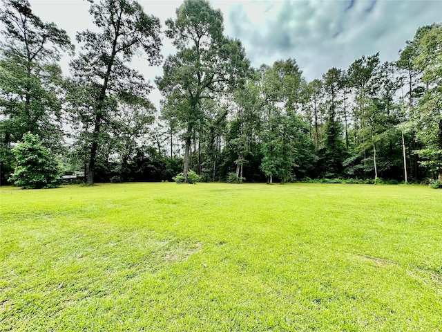 4815 Fm 2827th Rd, Warren, TX 77664 - view of grassy yard
