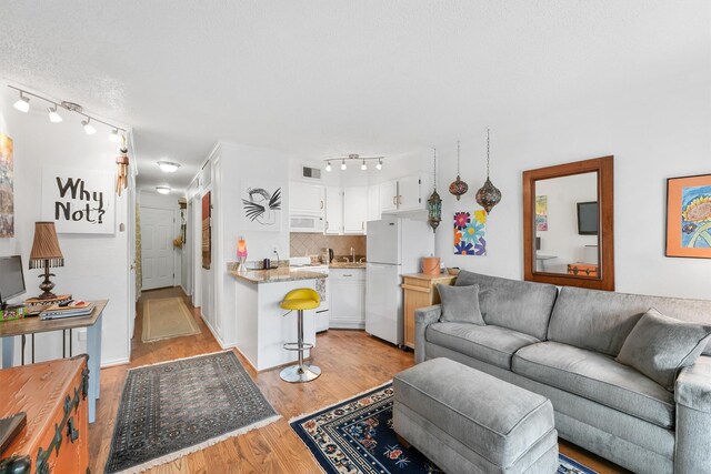 6102 Seawall Blvd Unit 271, Galveston, TX 77551 - living room with track lighting and light wood-style floors