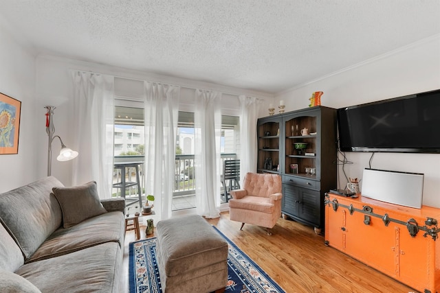 6102 Seawall Blvd Unit 271, Galveston, TX 77551 - living area with a textured ceiling, light wood finished floors, and crown molding