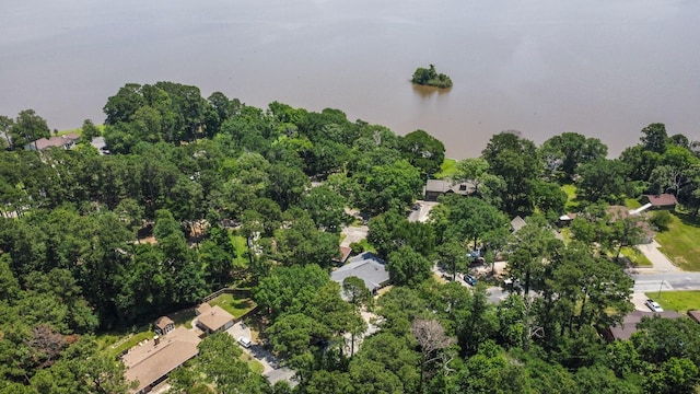197 Westwood Dr E, Trinity, TX 75862 - aerial overview of property's location