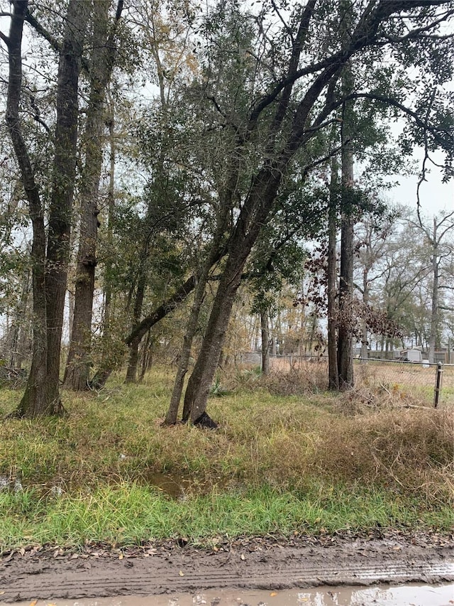0 Pinemont Dr, Guy, TX 77444
