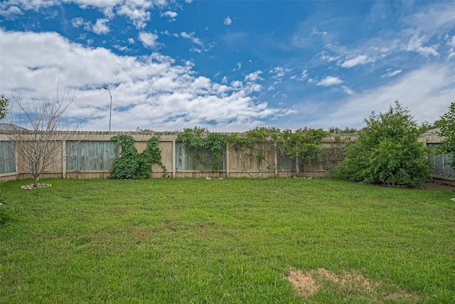 3722 Glover Meadows Ln, Houston, TX 77047 - view of yard