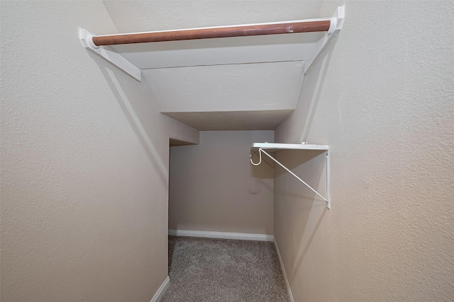 3722 Glover Meadows Ln, Houston, TX 77047 - spacious closet featuring carpet