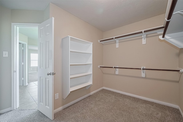 3722 Glover Meadows Ln, Houston, TX 77047 - spacious closet with light carpet